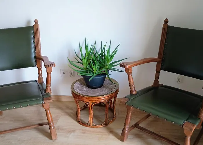 Apartament Kwiatowy Klimatyzowany
