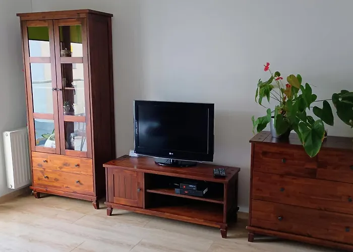 Apartament Kwiatowy Klimatyzowany